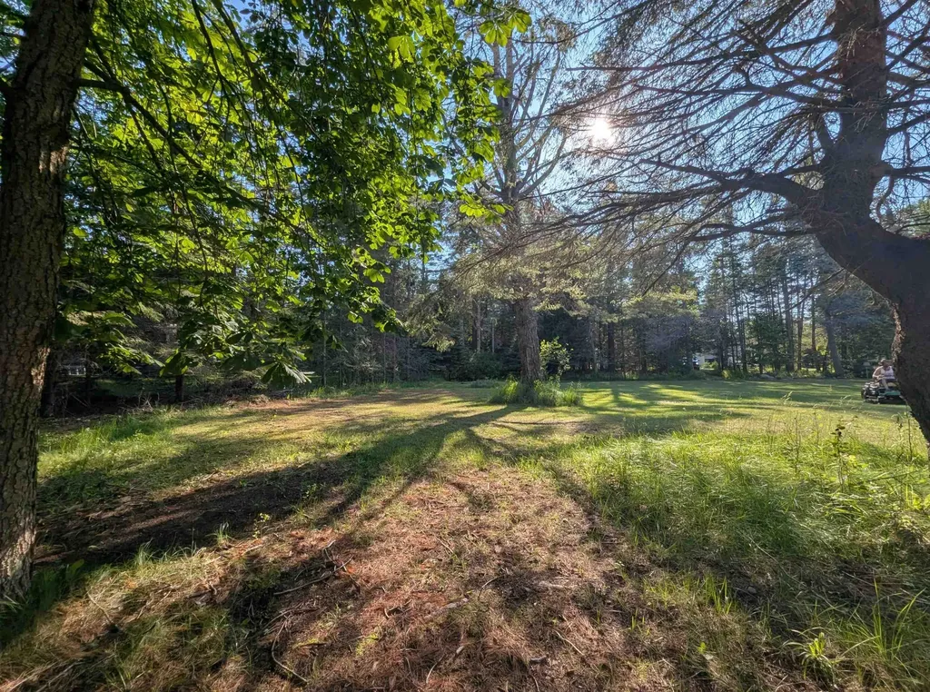 N/a N Lake Shore Drive Alcona Township MI 48721
