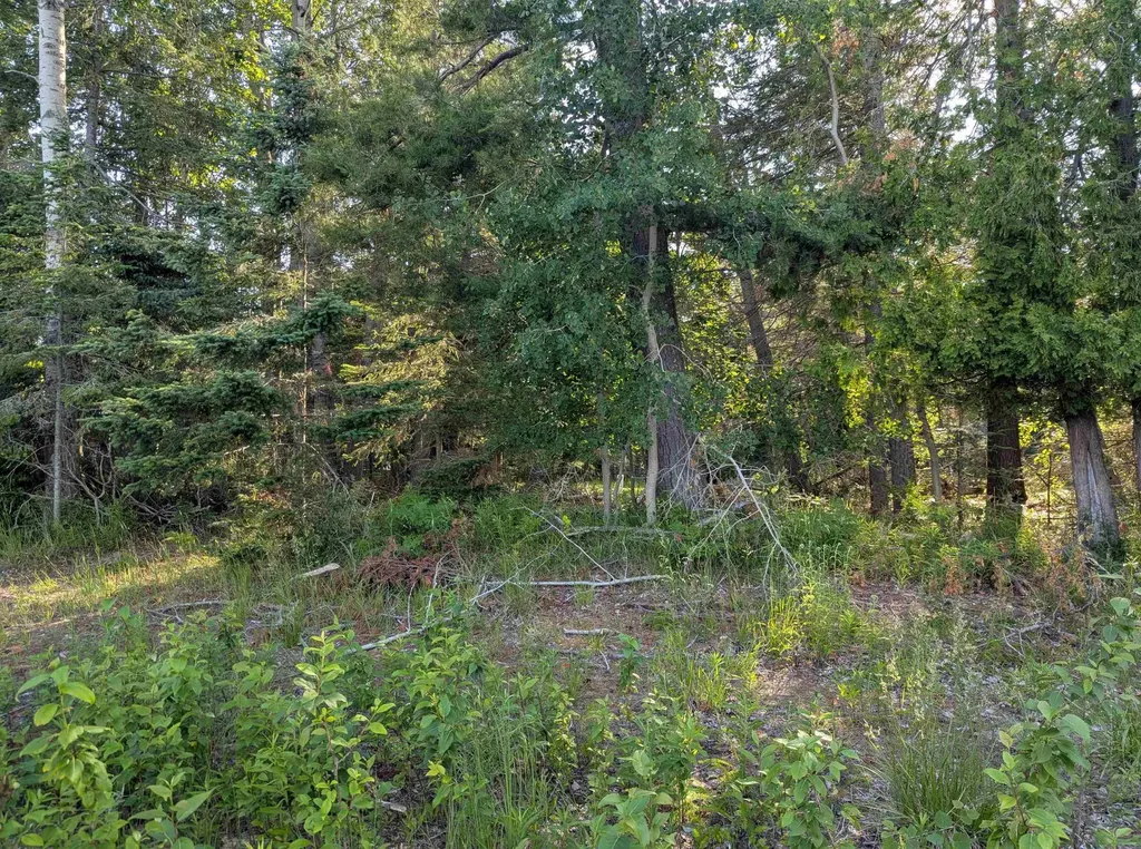 N/a N Lake Shore Drive Alcona Township MI 48721
