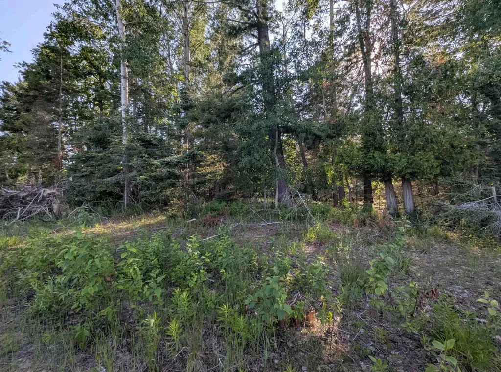 N/a N Lake Shore Drive Alcona Township MI 48721