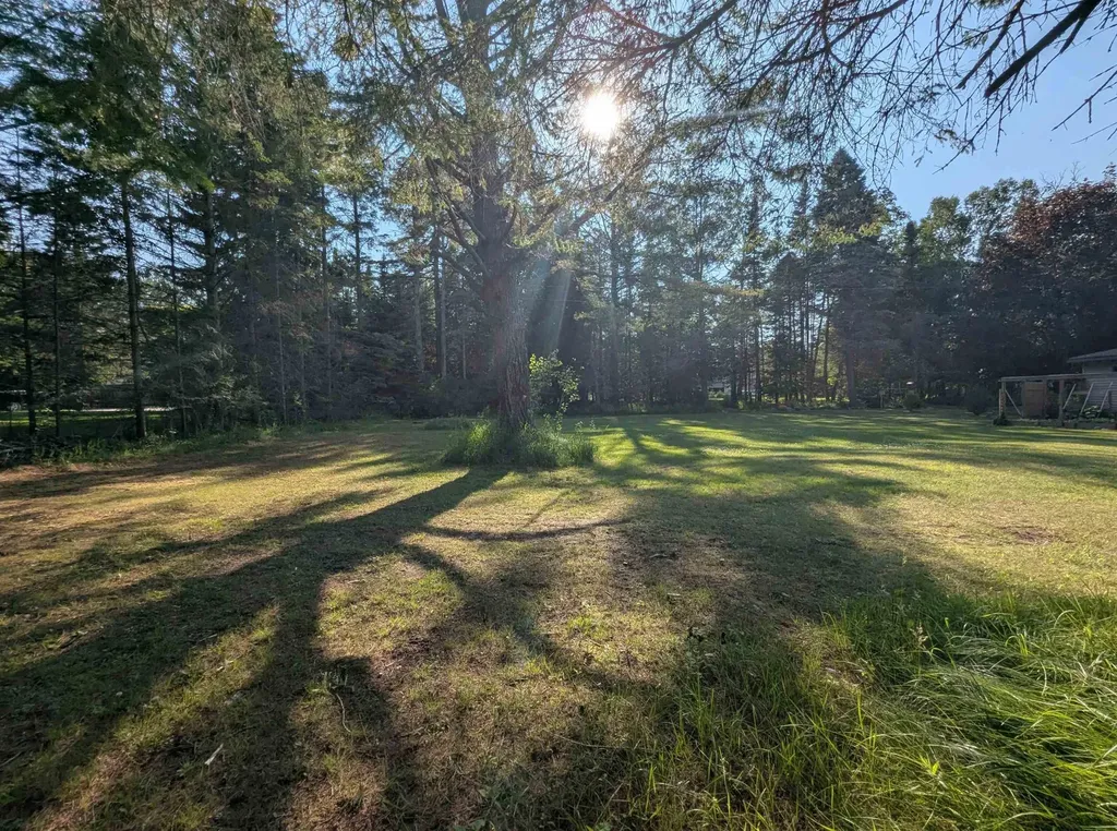 N/a N Lake Shore Drive Alcona Township MI 48721