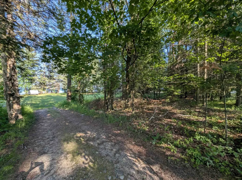 N/a N Lake Shore Drive Alcona Township MI 48721