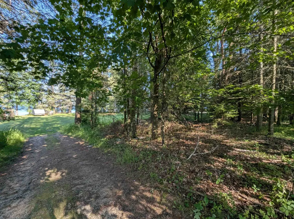 N/a N Lake Shore Drive Alcona Township MI 48721
