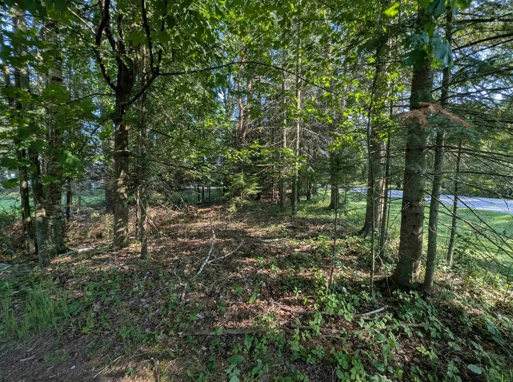 N/a N Lake Shore Drive Alcona Township MI 48721