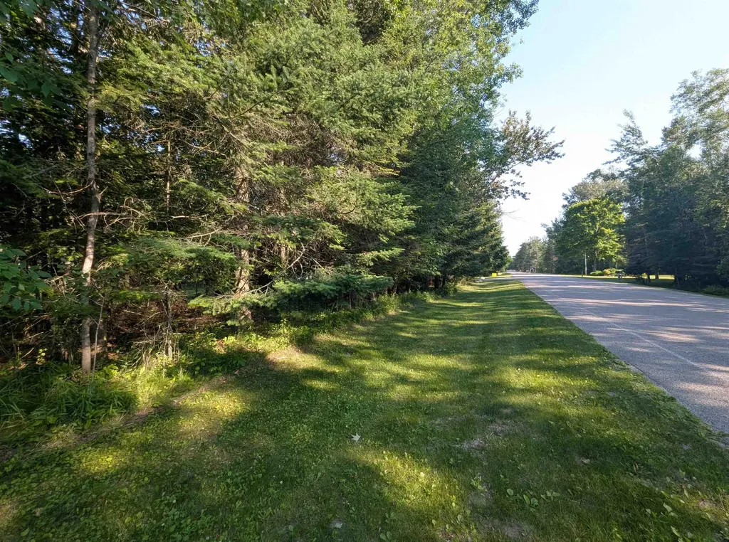 N/a N Lake Shore Drive Alcona Township MI 48721