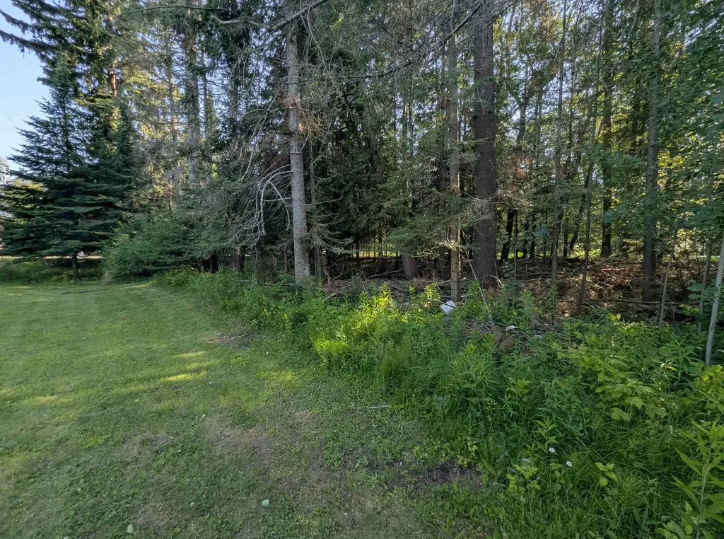 N/a N Lake Shore Drive Alcona Township MI 48721