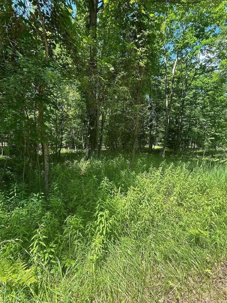 S Point Lookout Road Au Gres Township MI 48703