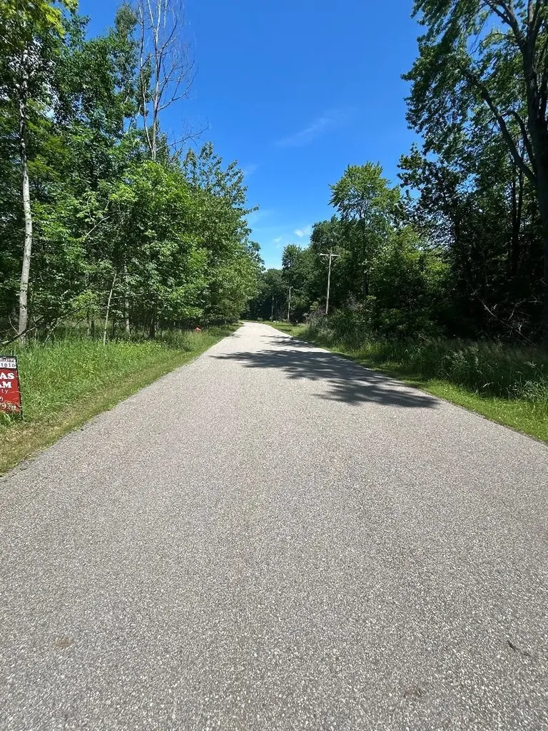 S Point Lookout Road Au Gres Township MI 48703
