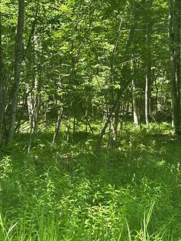 S Point Lookout Road Au Gres Township MI 48703