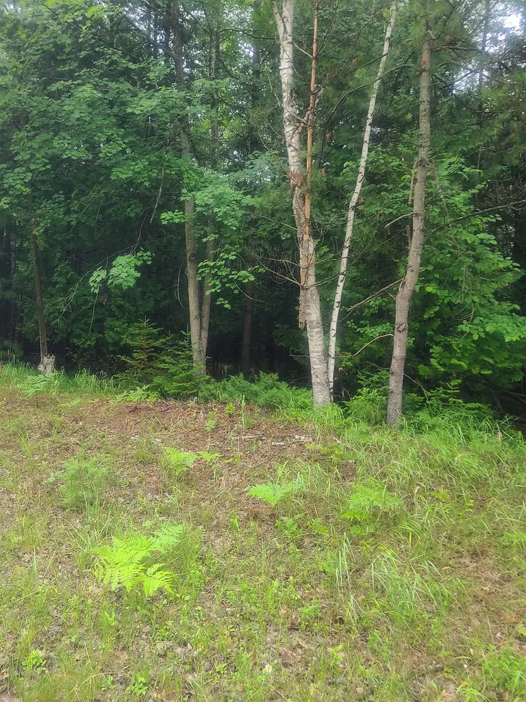 00 W Woodlea Road Oscoda Charter Township MI 48750