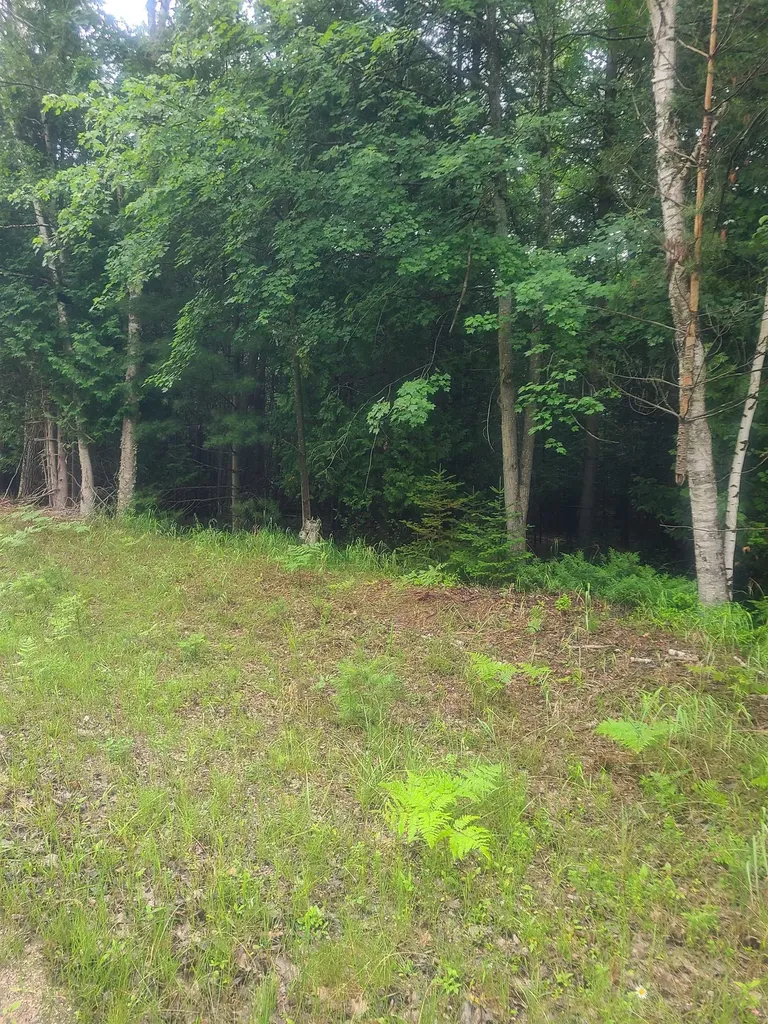 00 W Woodlea Road Oscoda Charter Township MI 48750