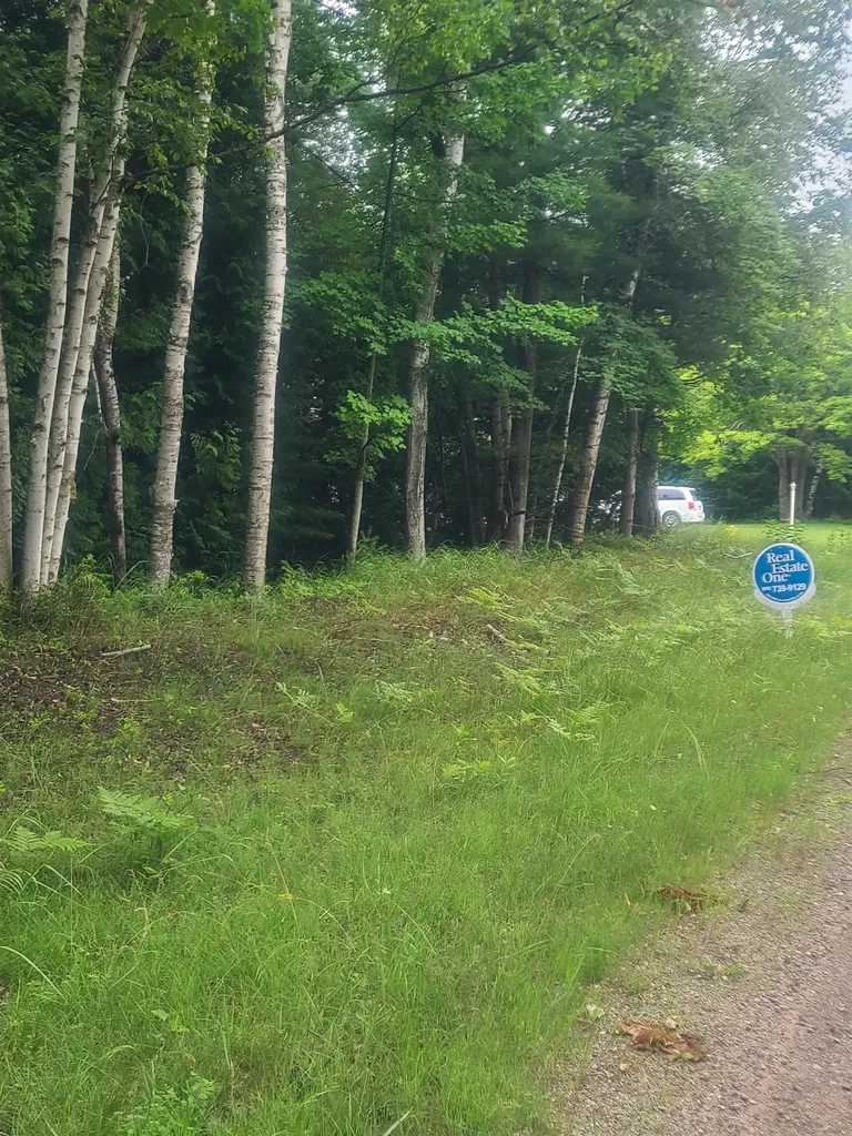 00 W Woodlea Road Oscoda Charter Township MI 48750