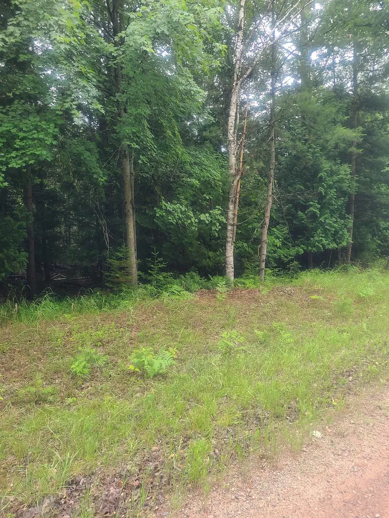 00 W Woodlea Road Oscoda Charter Township MI 48750