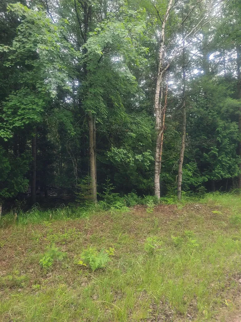 00 W Woodlea Road Oscoda Charter Township MI 48750