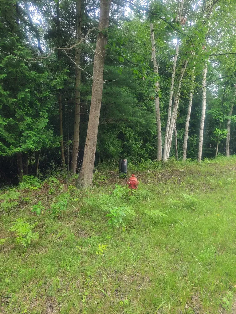 00 W Woodlea Road Oscoda Charter Township MI 48750