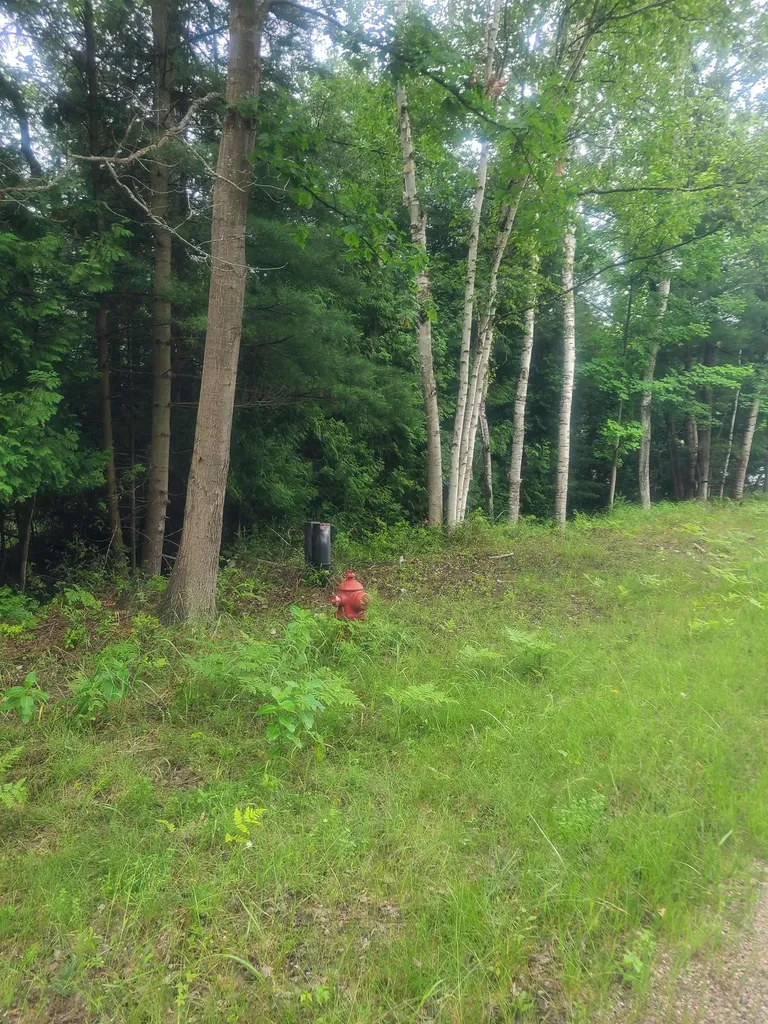 00 W Woodlea Road Oscoda Charter Township MI 48750