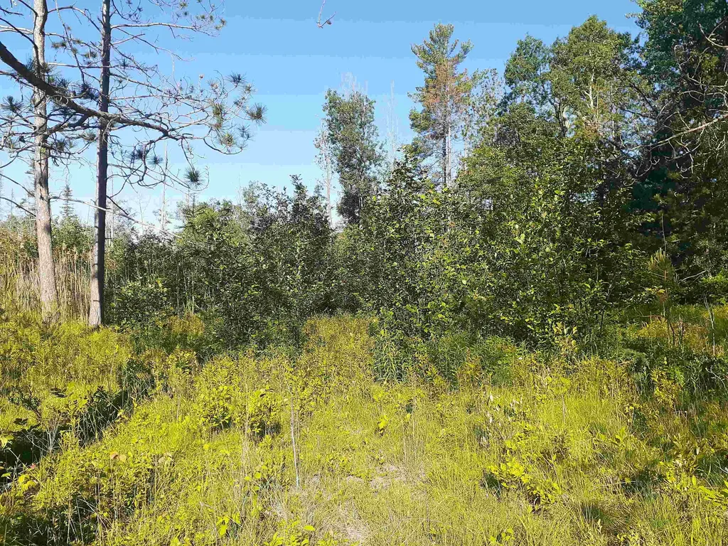 7631 F-41 Oscoda Charter Township MI 48750