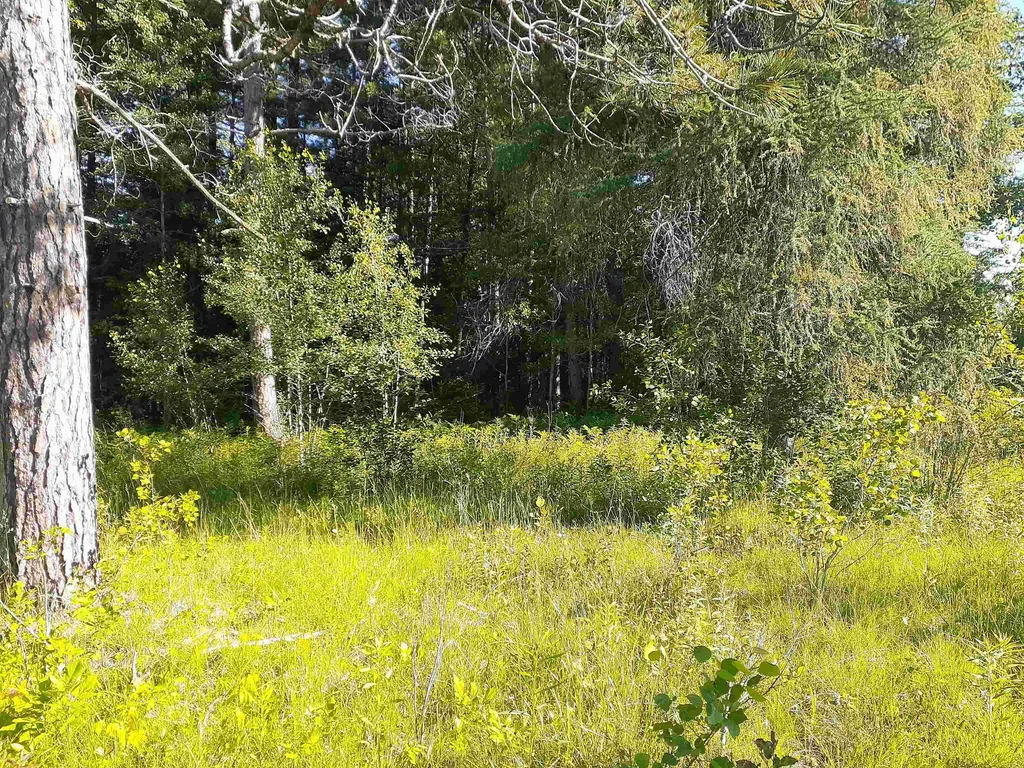 7631 F-41 Oscoda Charter Township MI 48750