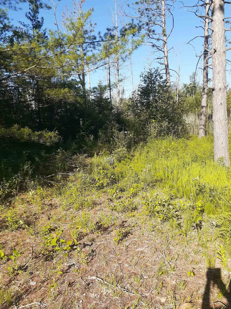 7631 F-41 Oscoda Charter Township MI 48750
