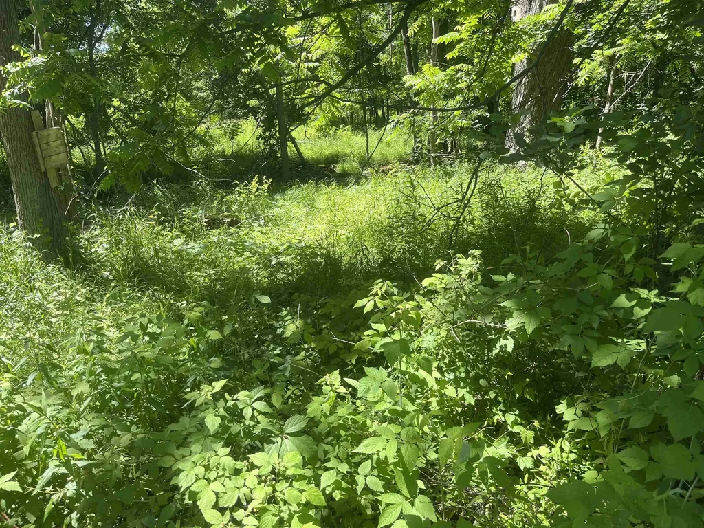380 E North Street Standish Township MI 48658