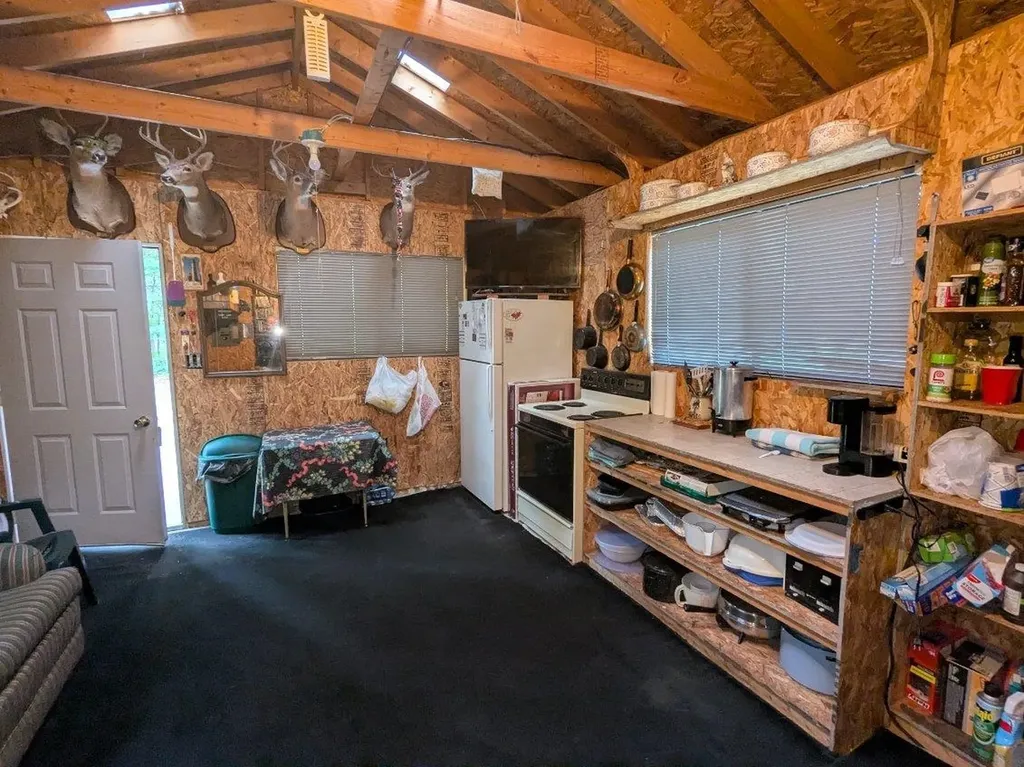1007 Sand Lake Road Grant Township MI 48748