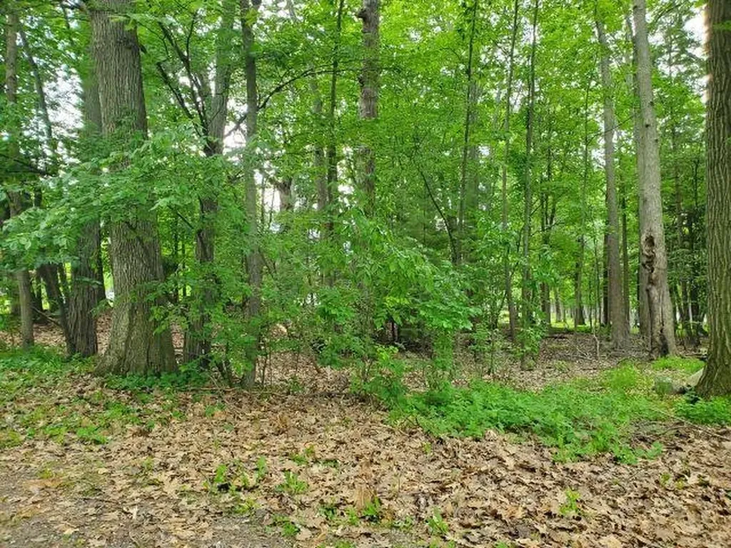 0 Timbers Drive Markey Township MI 48629