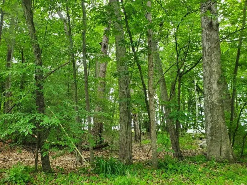 0 Timbers Drive Markey Township MI 48629