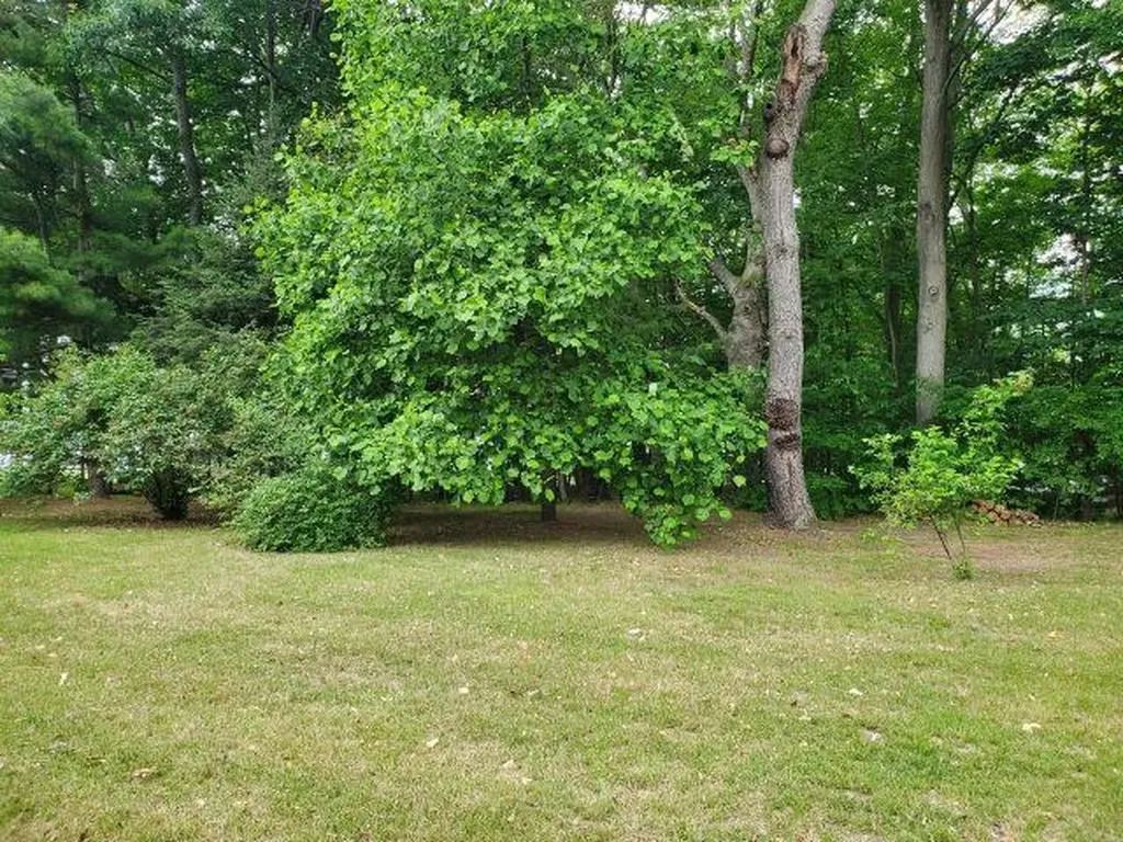 0 Timbers Drive Markey Township MI 48629