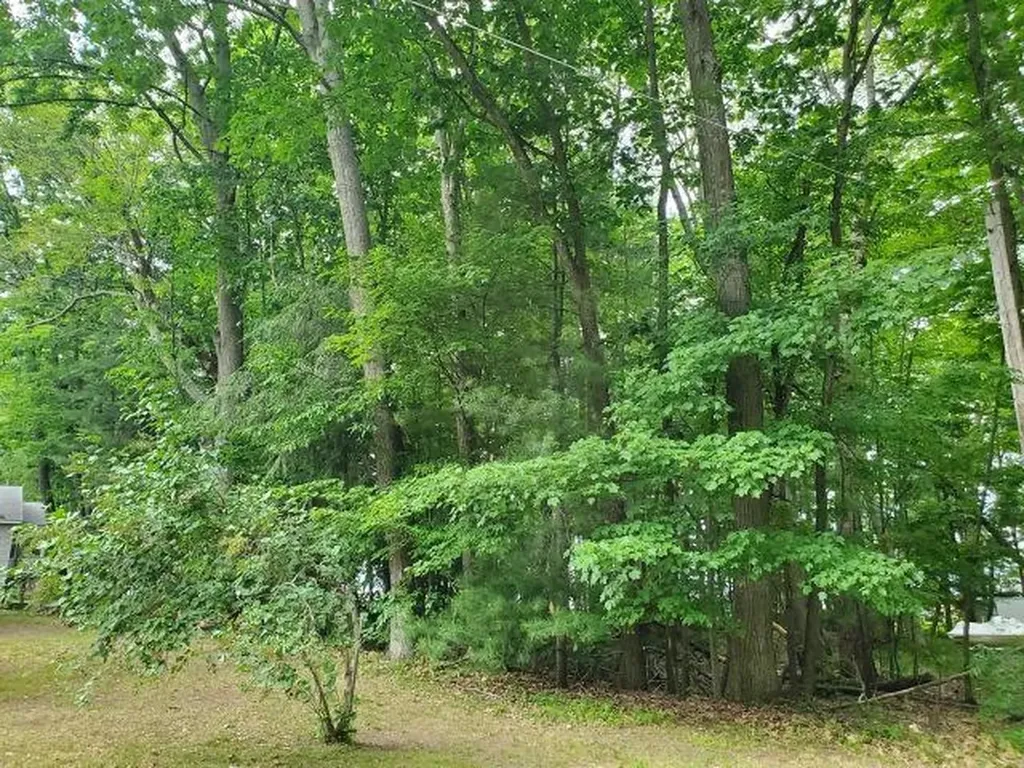 0 Timbers Drive Markey Township MI 48629