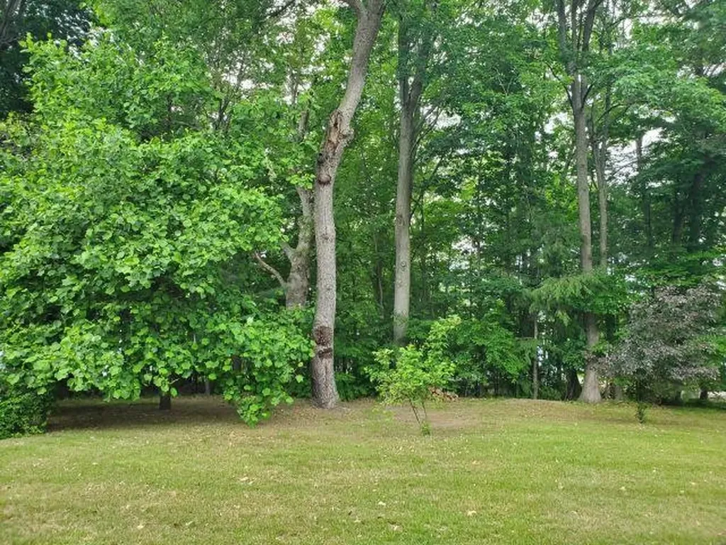 0 Timbers Drive Markey Township MI 48629