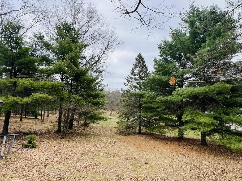 2400 Curtis Road Oscoda Charter Township MI 48748