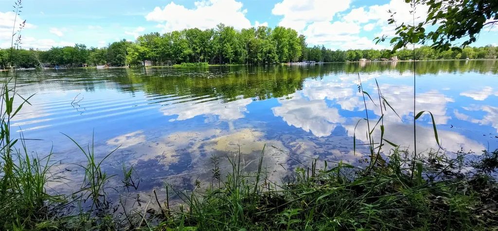 00 Red Oak Trail Mills Township MI 48610