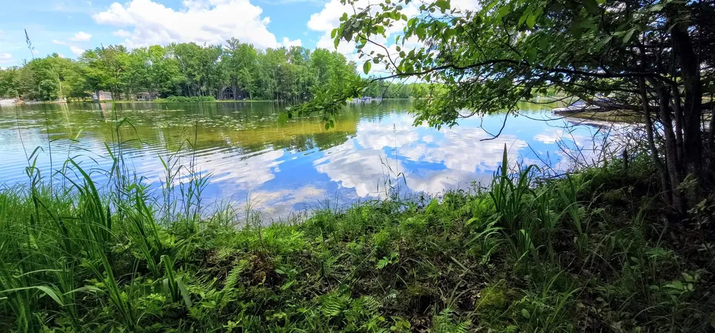 00 Red Oak Trail Mills Township MI 48610