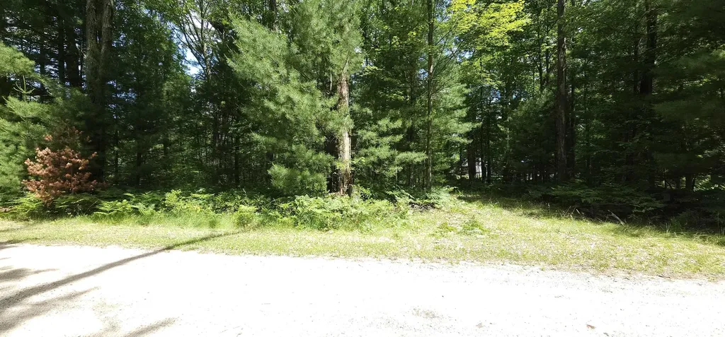 00 Red Oak Trail Mills Township MI 48610