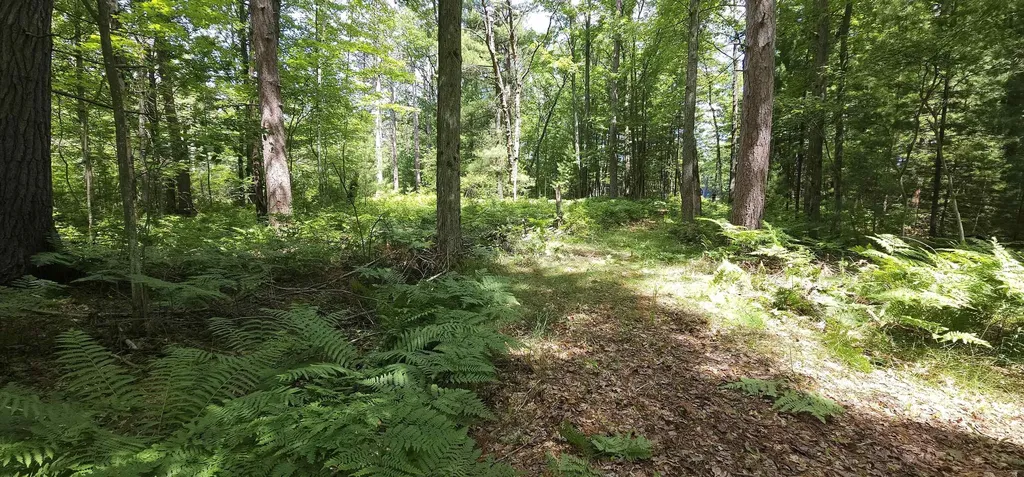 00 Red Oak Trail Mills Township MI 48610