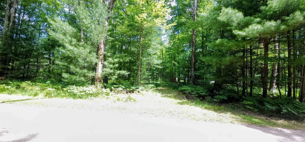00 Red Oak Trail Mills Township MI 48610
