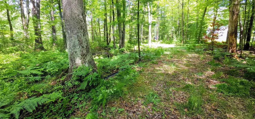00 Red Oak Trail Mills Township MI 48610