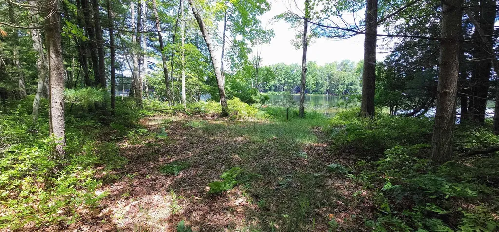 00 Red Oak Trail Mills Township MI 48610