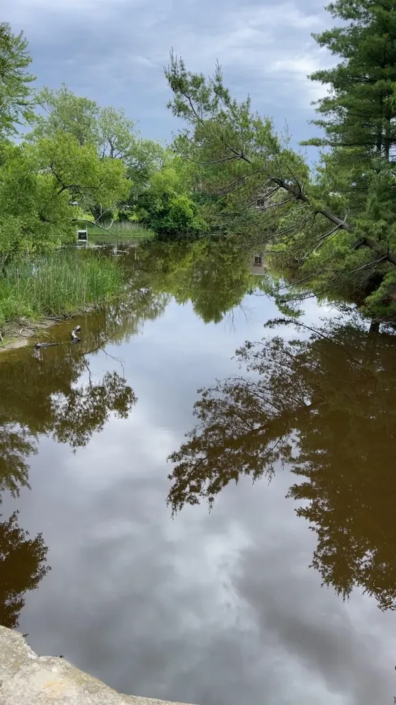 429 Hamilton Road Tawas Township MI 48763