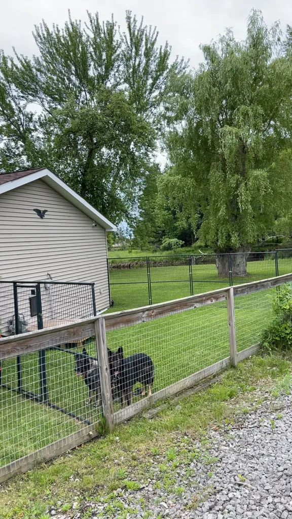 429 Hamilton Road Tawas Township MI 48763