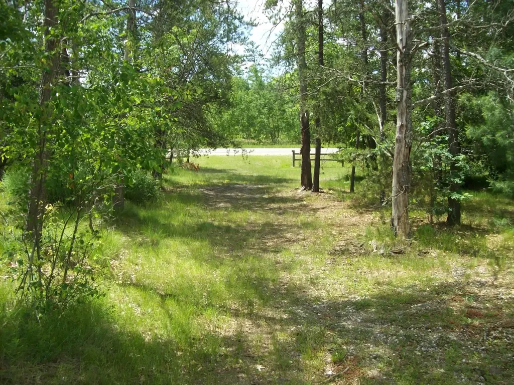 104 Mosher Road Richfield Township MI 48656