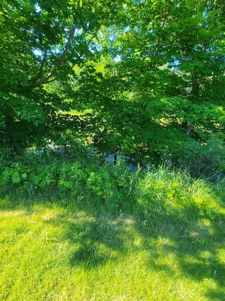 314 W Michigan Avenue Oscoda Charter Township MI 48750