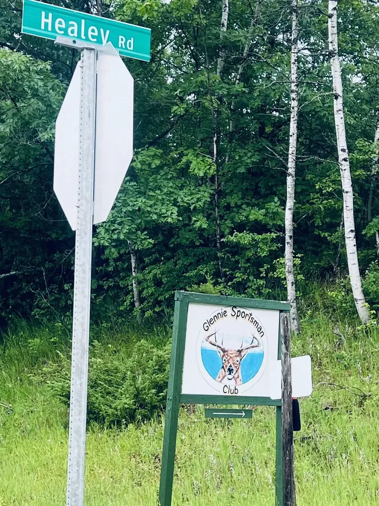 3208 S Healey Road Curtis Township MI 48737