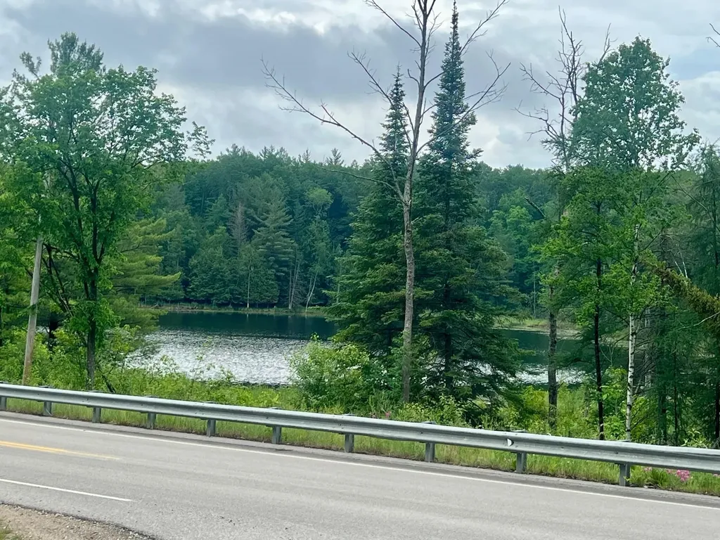 3208 S Healey Road Curtis Township MI 48737
