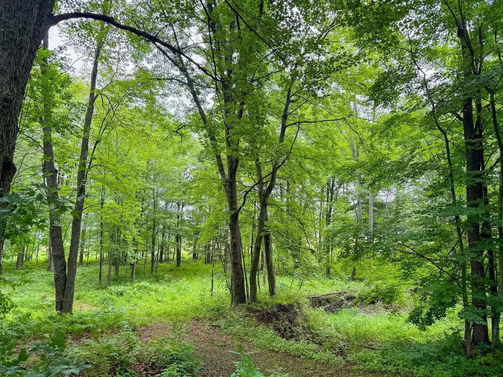 600 N Clear Lake Road Foster Township MI 48661