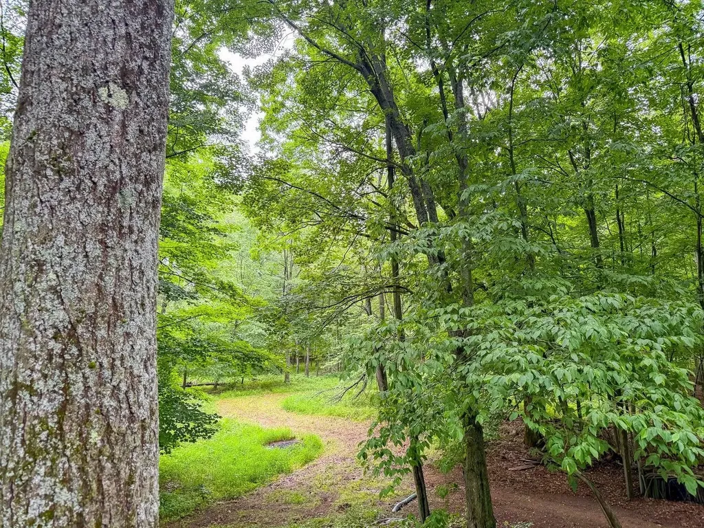 600 N Clear Lake Road Foster Township MI 48661