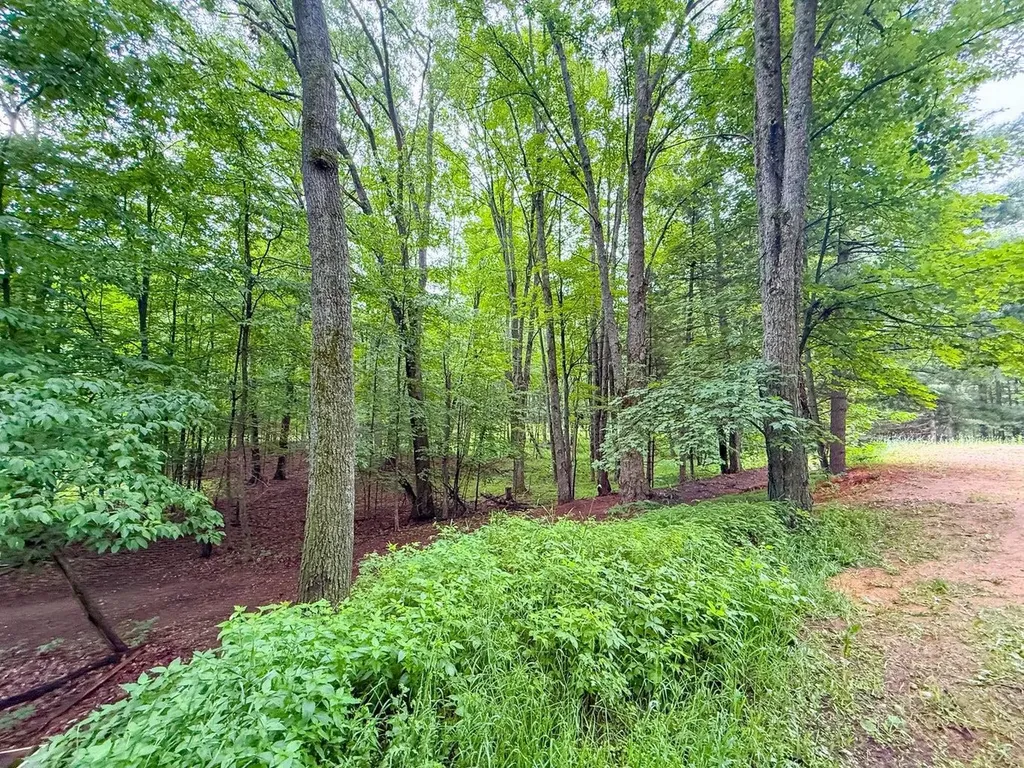 600 N Clear Lake Road Foster Township MI 48661