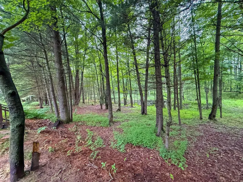 600 N Clear Lake Road Foster Township MI 48661
