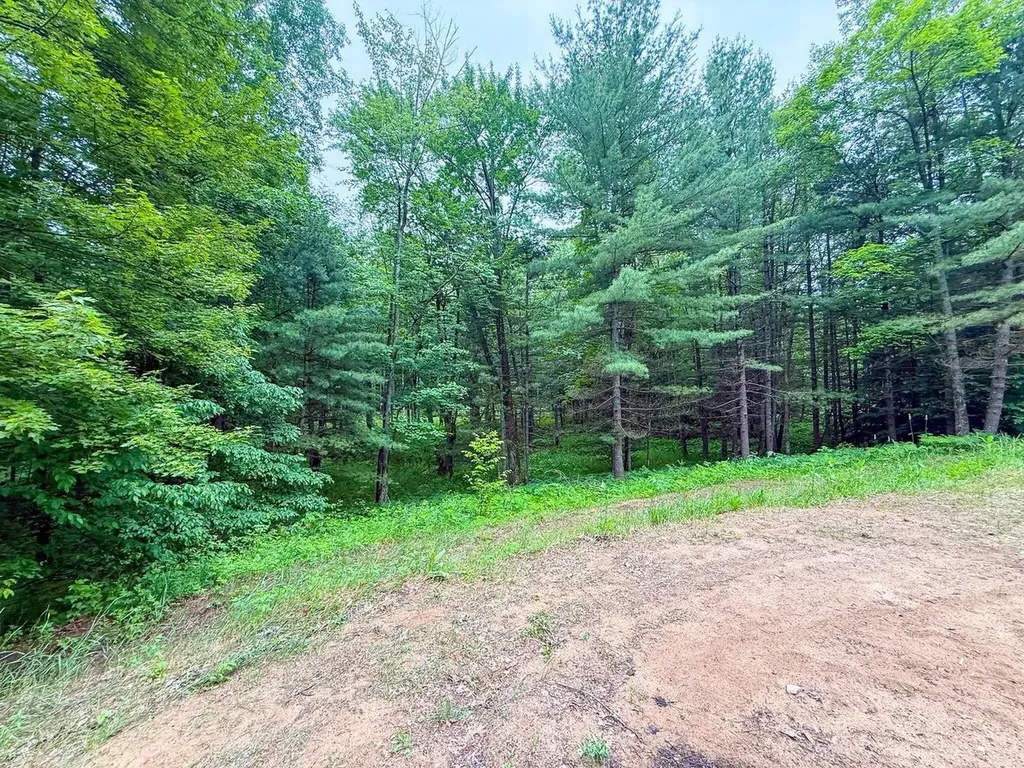 600 N Clear Lake Road Foster Township MI 48661