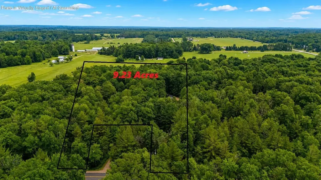 600 N Clear Lake Road Foster Township MI 48661