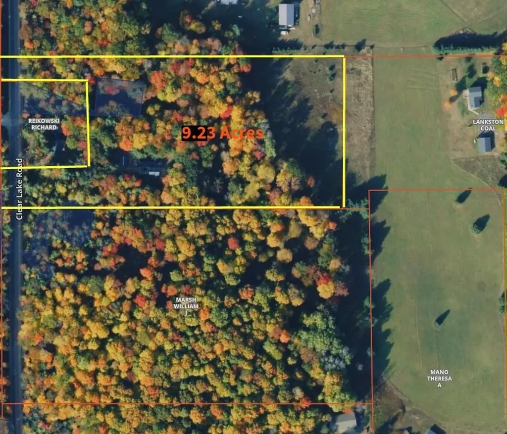 600 N Clear Lake Road Foster Township MI 48661